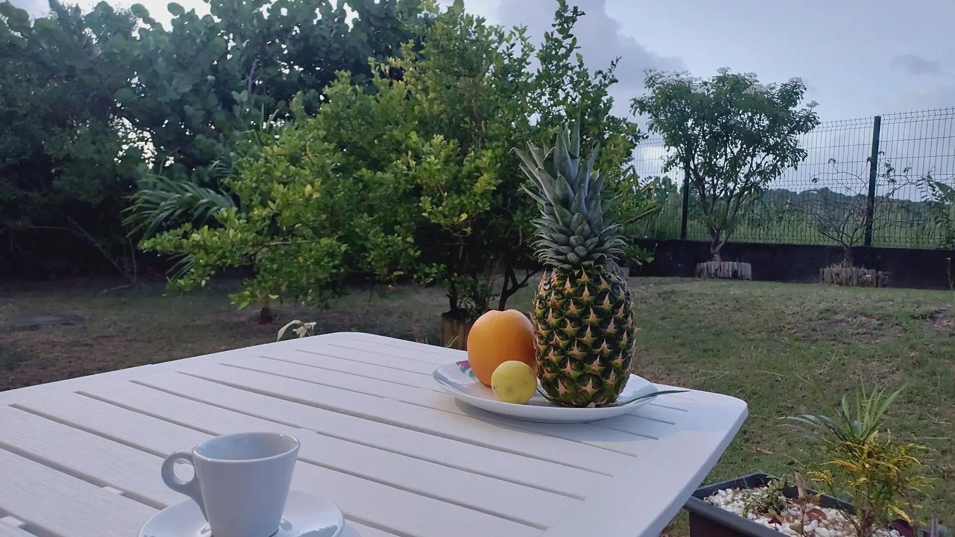 Soley Karaib Appartement Au Vauclin Martinique Le Vauclin Martinique