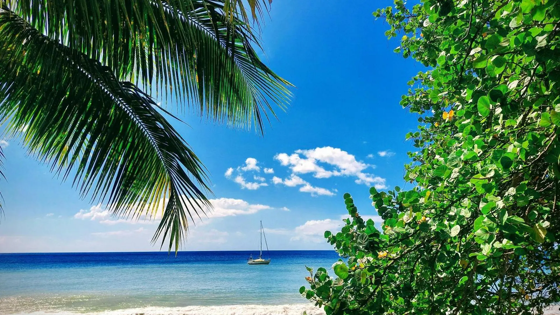 Soley Karaib Appartement Au Vauclin Martinique Le Vauclin 0*,