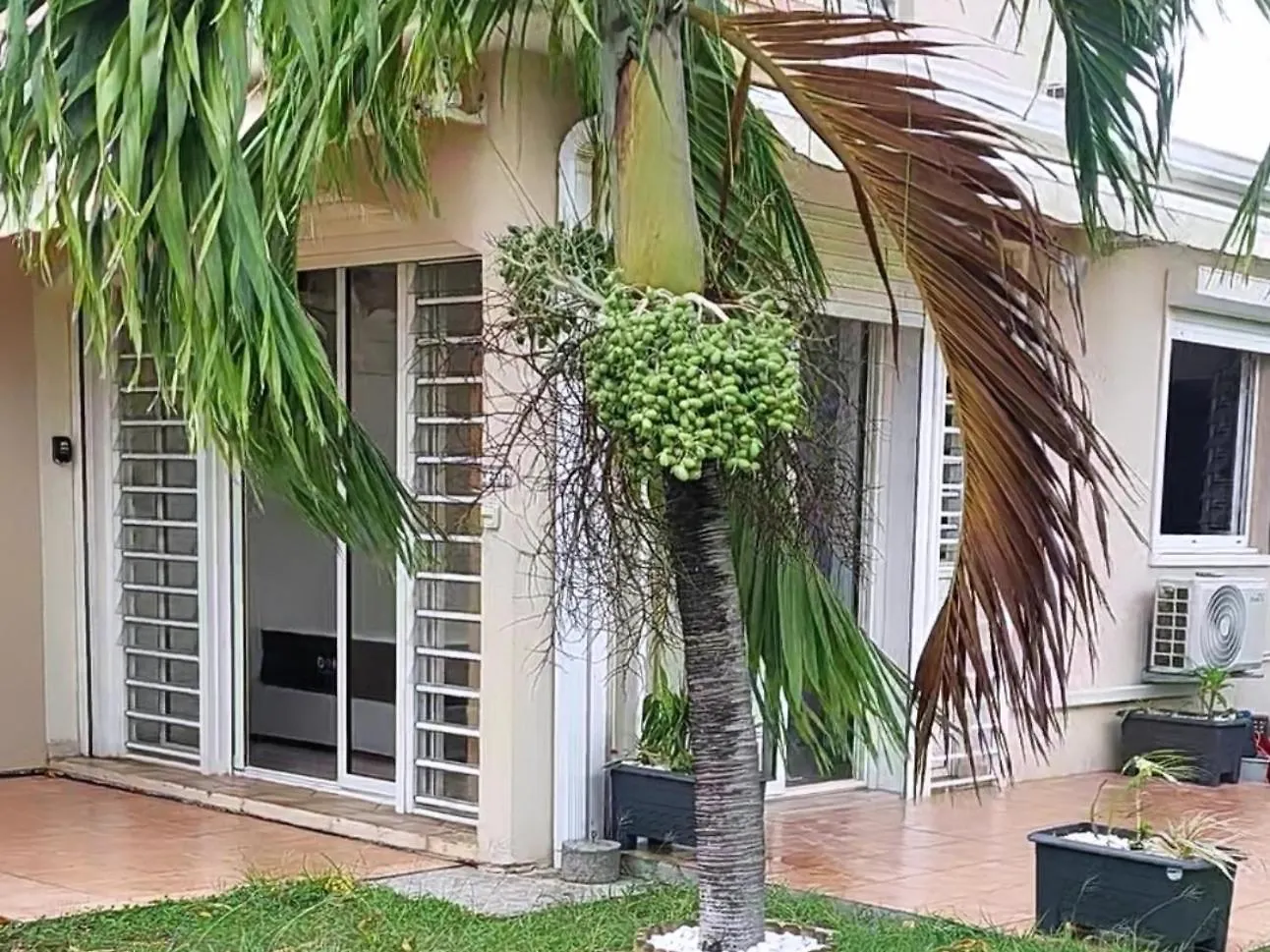 Soley Karaib Appartement Au Vauclin Martinique مدينة لو فوكلين شقة
